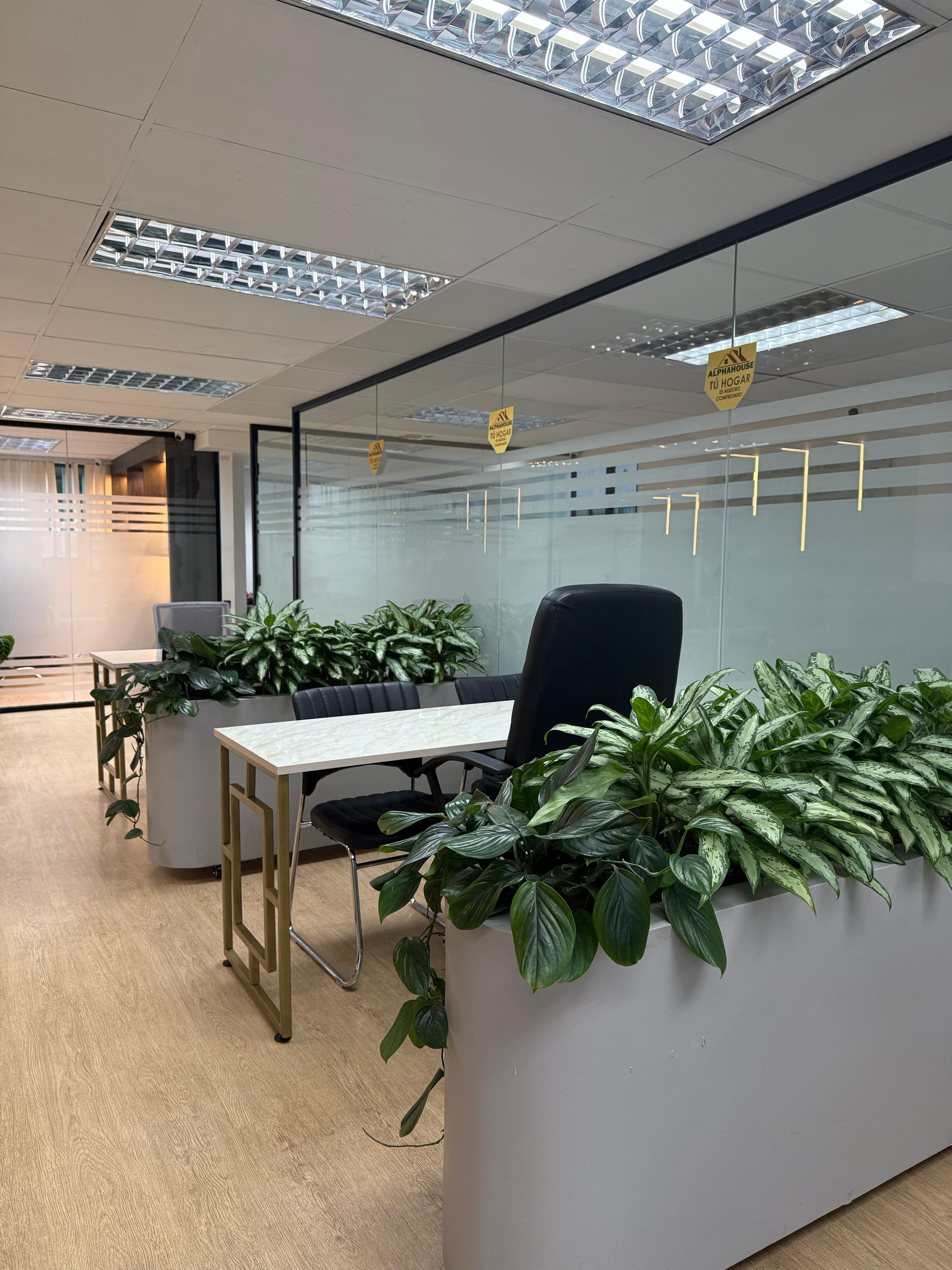 Oficina Alpha House en Quito